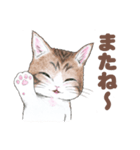 猫さんスタンプ（色鉛筆イラスト）（個別スタンプ：29）