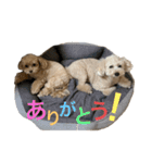とえだーず（個別スタンプ：2）
