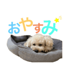 とえだーず（個別スタンプ：7）
