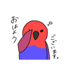 【敬語多め】オオハナインコのキョロちゃん（個別スタンプ：5）