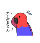 【敬語多め】オオハナインコのキョロちゃん（個別スタンプ：11）