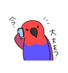 【敬語多め】オオハナインコのキョロちゃん（個別スタンプ：17）