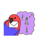 【敬語多め】オオハナインコのキョロちゃん（個別スタンプ：18）