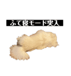 いたずらもこスタンプ2（個別スタンプ：18）
