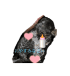 あいさつ/返事/動物いっぱい（個別スタンプ：4）