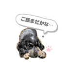 ベル1号（個別スタンプ：7）