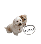 ロックんのスタンプです（個別スタンプ：2）