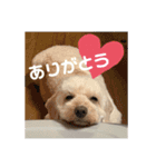 ロックんのスタンプです（個別スタンプ：6）