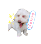 ロックんのスタンプです（個別スタンプ：10）
