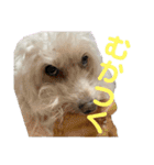 ロックんのスタンプです（個別スタンプ：12）