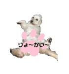 ロックんのスタンプです（個別スタンプ：16）