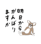 粋丸 the DOG 2（個別スタンプ：3）