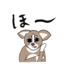 粋丸 the DOG 2（個別スタンプ：26）