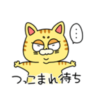 おもしろいとらねこ（個別スタンプ：21）