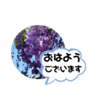 草木や花での日常会話です（個別スタンプ：2）