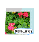 草木や花での日常会話です（個別スタンプ：5）