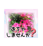 草木や花での日常会話です（個別スタンプ：15）