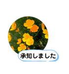 草木や花での日常会話です（個別スタンプ：20）