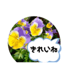 草木や花での日常会話です（個別スタンプ：31）