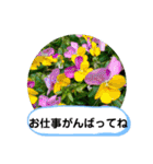 草木や花での日常会話です（個別スタンプ：37）