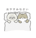 丁寧なねこスタンプ（個別スタンプ：23）