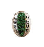 ごはん提案3（個別スタンプ：9）