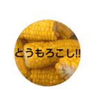 ごはん提案3（個別スタンプ：13）