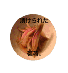 ごはん提案3（個別スタンプ：25）
