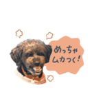 保護犬Cocoのスタンプ（個別スタンプ：6）