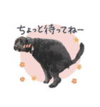 保護犬Cocoのスタンプ（個別スタンプ：8）