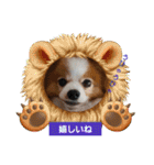 ぱぴぱぴパピヨン76（個別スタンプ：5）