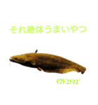 ミツバチと生き物いろいろvol.7（個別スタンプ：5）