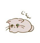 猫のきぬくん（個別スタンプ：14）