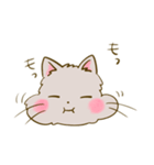 猫のきぬくん（個別スタンプ：16）