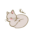 猫のきぬくん（個別スタンプ：23）