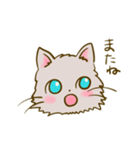 猫のきぬくん（個別スタンプ：30）