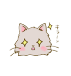 猫のきぬくん（個別スタンプ：31）