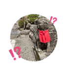 Luckyコマ犬〜幸せを呼ぶ〜（個別スタンプ：6）