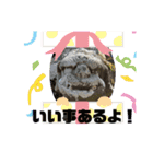 Luckyコマ犬〜幸せを呼ぶ〜（個別スタンプ：9）