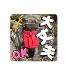 Luckyコマ犬〜幸せを呼ぶ〜（個別スタンプ：14）