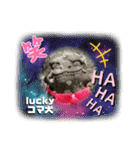 Luckyコマ犬〜幸せを呼ぶ〜（個別スタンプ：16）