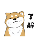 芝犬の太郎（個別スタンプ：22）