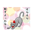 性悪猫momoっち第5弾（個別スタンプ：13）