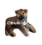 R I K I chan（個別スタンプ：9）