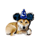 R I K I chan（個別スタンプ：11）