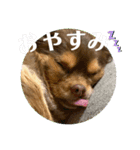 あももも（個別スタンプ：3）