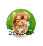 あももも（個別スタンプ：5）