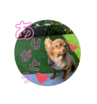 あももも（個別スタンプ：6）