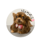 あももも（個別スタンプ：7）