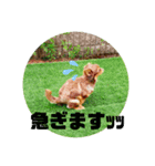 あももも（個別スタンプ：8）